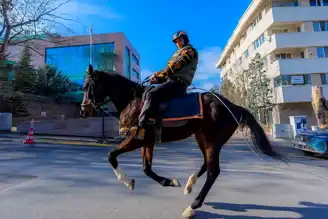 Ankara'da Atlı Trafik Şovu
